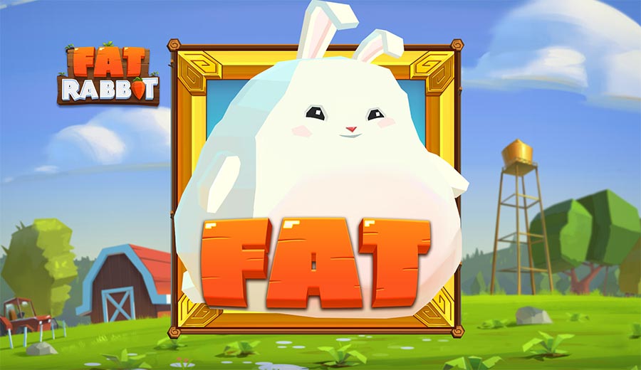 fat rabbit